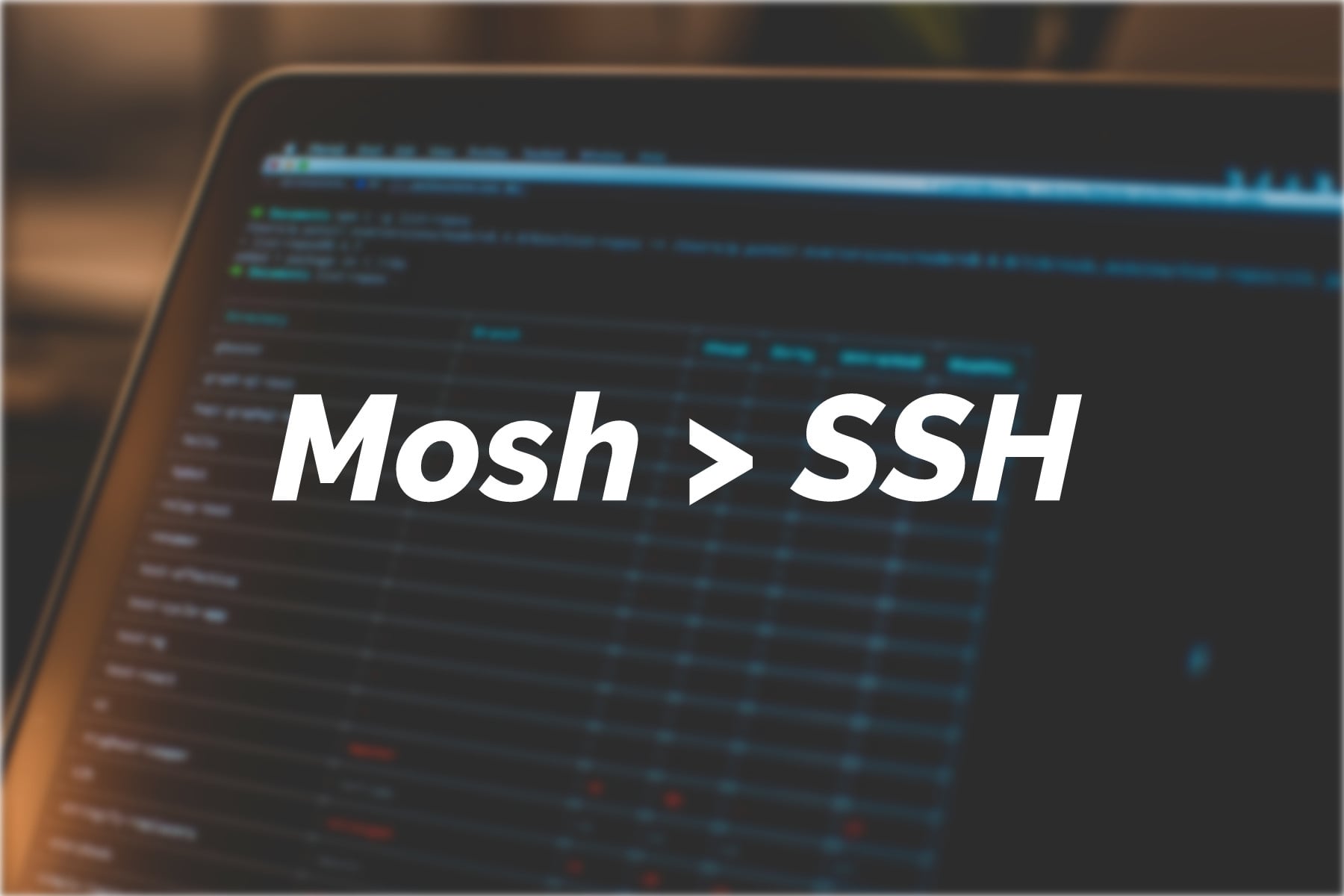 ssd nodes hosting provider