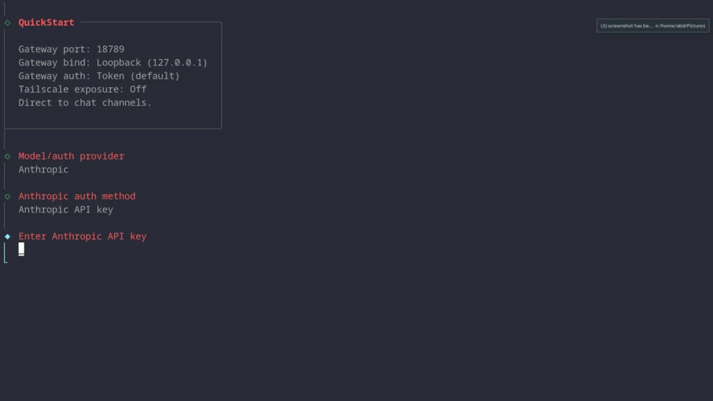 Openclaw api key