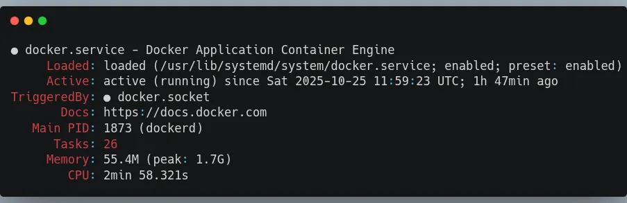 Docker status